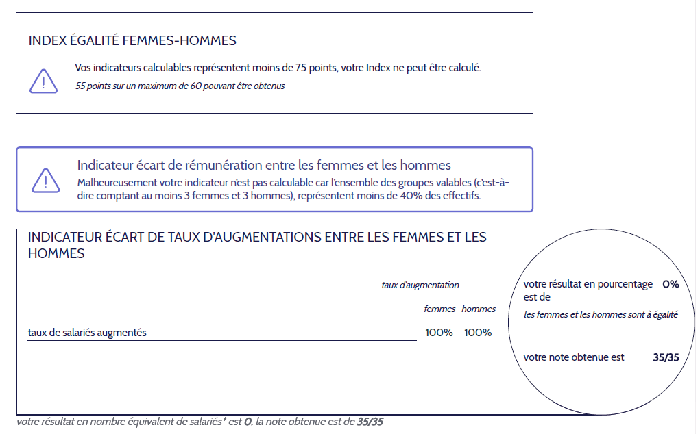 Index égalité professionnelle Femmes-Hommes 2020 - Excen Gardanne